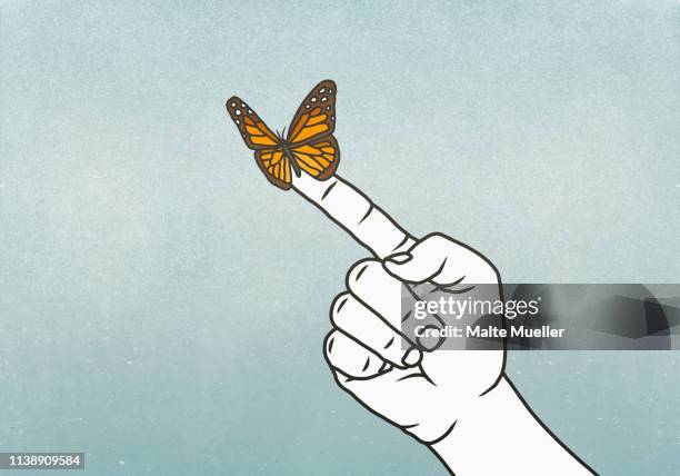 stockillustraties, clipart, cartoons en iconen met butterfly on finger - breekbaarheid