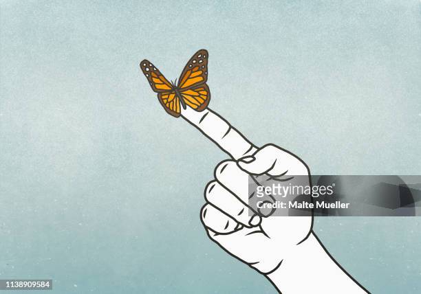 butterfly on finger - fragility stock illustrations