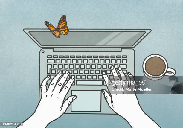 illustrazioni stock, clip art, cartoni animati e icone di tendenza di view from above butterfly landing on laptop - e mail stock illustrations