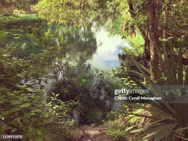 Blue Spring Florida Photos and Premium High Res Pictures - Getty Images