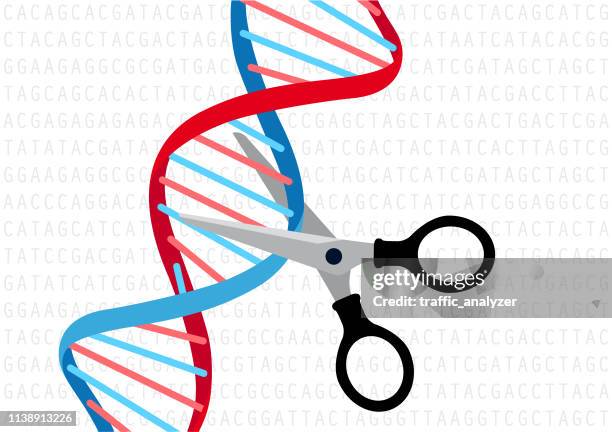 crispr-genbearbeitung - crispr stock-grafiken, -clipart, -cartoons und -symbole