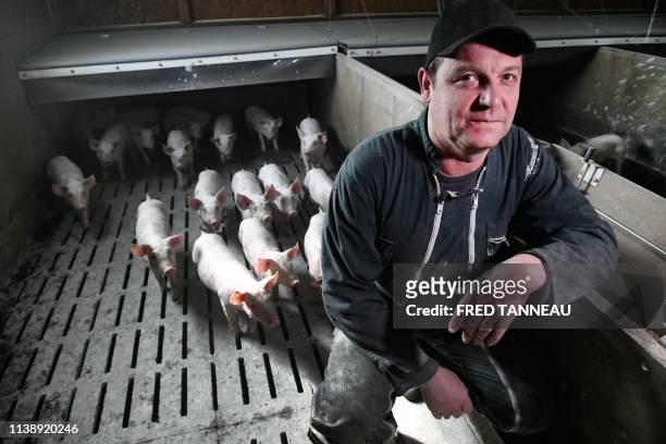 French farmer Francois Valy poses in a pigsty in Ruffiac, western France, on April 1, 2019. - At 50, François Valy, pig farmer in Ruffiac , says "yes...
