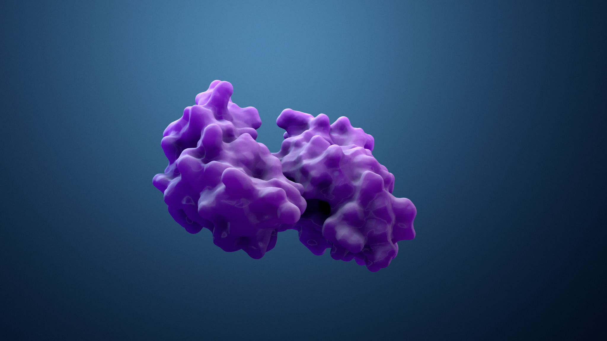 3D medical model
