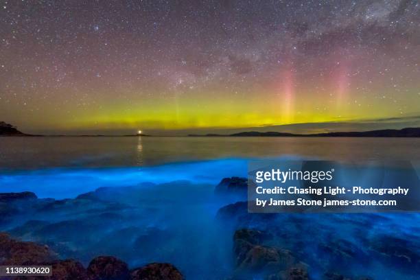 aurora australis or southern lights in the sky over spectacular blue bioluminescence in the water. - aurora australis stock pictures, royalty-free photos & images