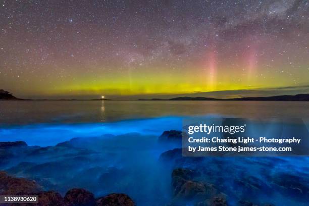 aurora australis or southern lights in the sky over spectacular blue bioluminescence in the water. - bioluminescência imagens e fotografias de stock