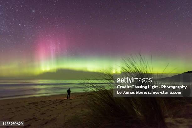 a lone figure in silhouette stands on a beach watching an incredible bright green display of the aurora australis or southern lights over a beach in tasmania with bright blue bioluminescence in the waves. - aurora australis stock pictures, royalty-free photos & images