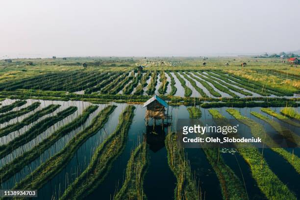 scenic luchtfoto van drijvende tuinen op inle lake - myanmar culture stockfoto's en -beelden