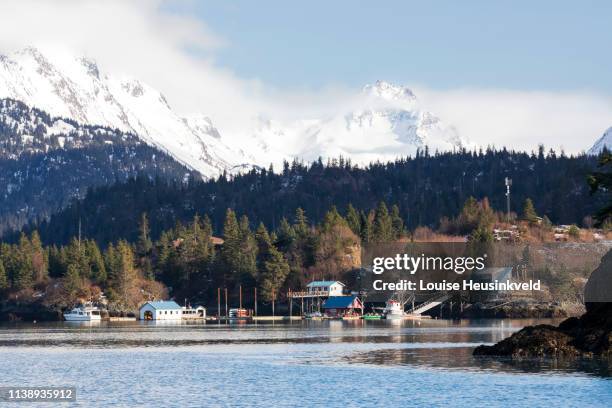 halibut cove, kenai peninsula, alaska - kachemak bay - fotografias e filmes do acervo