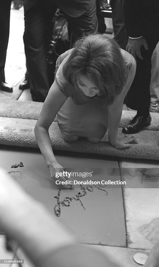 Sophia Loren Hands in Cement Oustide Grauman's Chinese Theatre