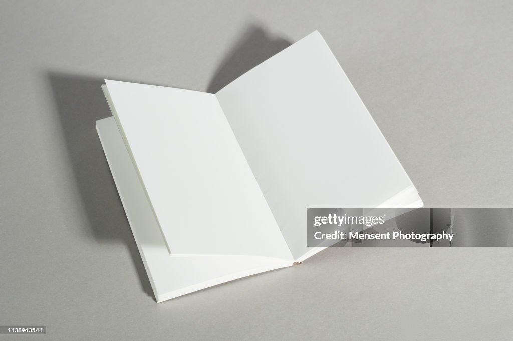 Opened blank magazine book on gray background