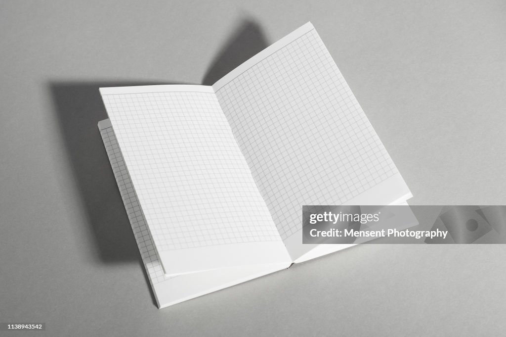 Opened blank magazine book on gray background
