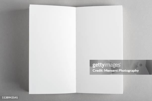 opened blank magazine book on gray background - brochure blank photos et images de collection