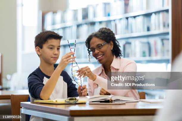 science tutor helps middle school student - chemistry model stock pictures, royalty-free photos & images
