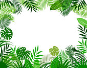 Background frame of tropical plants