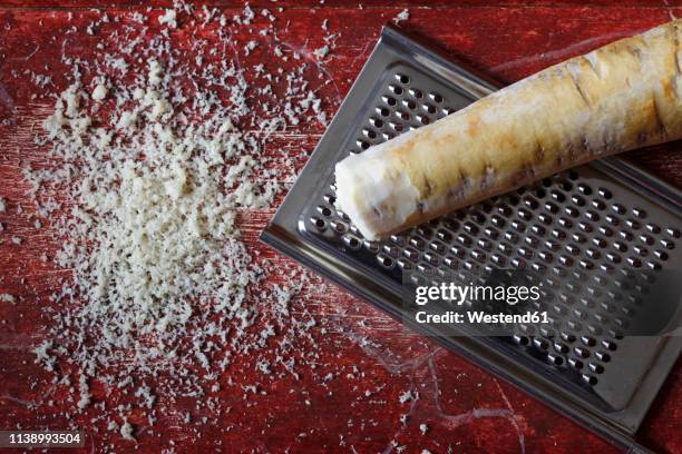 grated horseraddish and grater - horseradish stock pictures, royalty-free photos & images