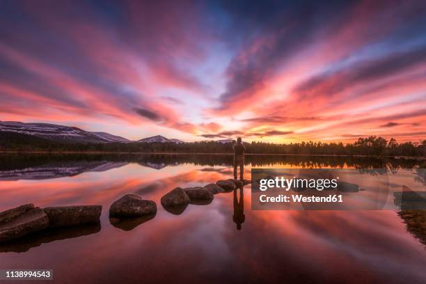 united kingdom, scotland, highlands, cairngorms national park, loch morlich, sunset, hiker standing on stone - highlands schottland wandern stock-fotos und bilder