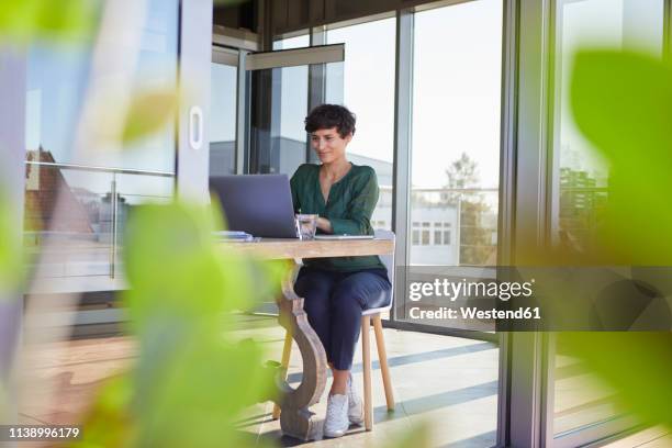 smiling businesswoman sitting at table using laptop - sunny office stock pictures, royalty-free photos & images