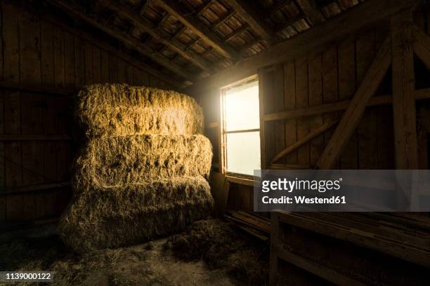 traditional farm barn with bales of straws and light coming through window - pferdestall stock-fotos und bilder