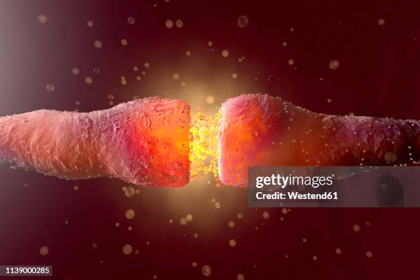 3d rendered illustration, visualisation of neurons firing neurotransmitters in the synaptic gap, molecular biology - nerve cell stock illustrations