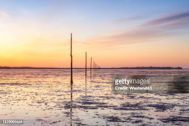 united kindom, england, northumberland, posts marking the pilgrims way crossing to lindisfarne, holy island - wadden sea stock pictures, royalty-free photos & images