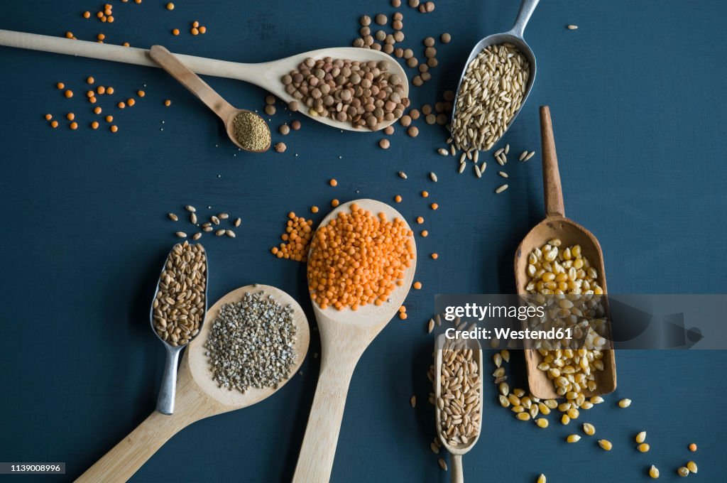 Red lentils, brown lentils, amarant, wheat, spelt wheat and corn on spoons