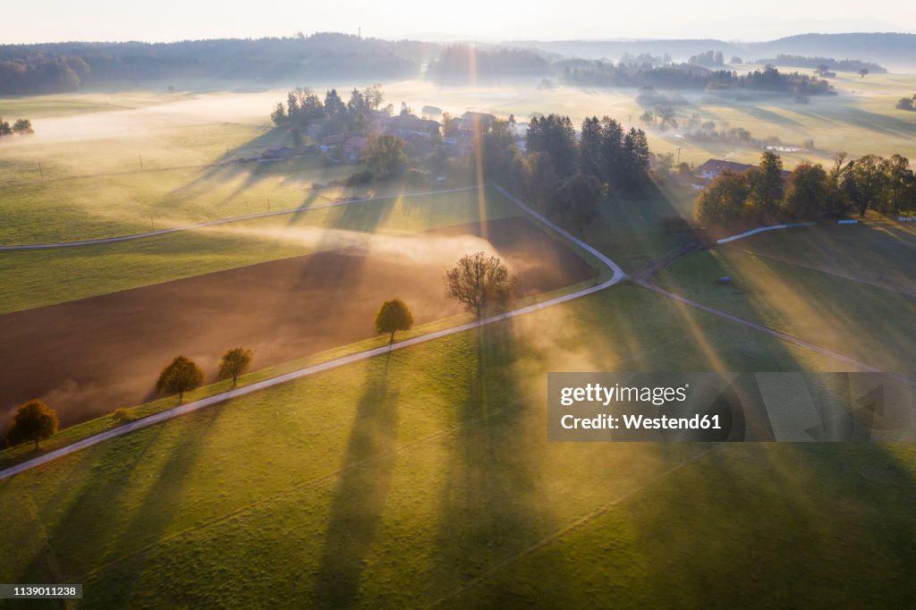 Germany, Bavaria, Ried near Dietramszell, ground fog at sunrise, drone view
