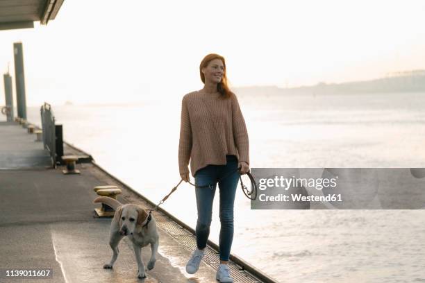 germany, hamburg, woman walking with dog on pier at the elbe shore - promenade stock pictures, royalty-free photos & images