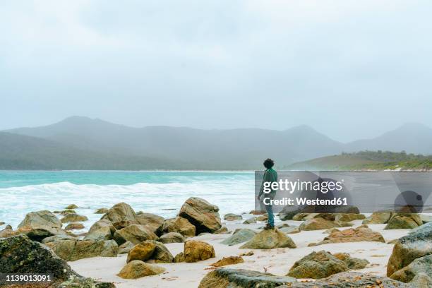 australia, tasmania, freycinet national park, wineglass bay, back view of man standing on the beach - wineglass bay stock pictures, royalty-free photos & images