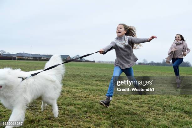 two girls running on a meadow with  dog having fun - pulling stock pictures, royalty-free photos & images