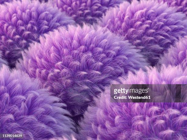 fluffy purple spheres, 3d rendering - tossing hair stock-grafiken, -clipart, -cartoons und -symbole