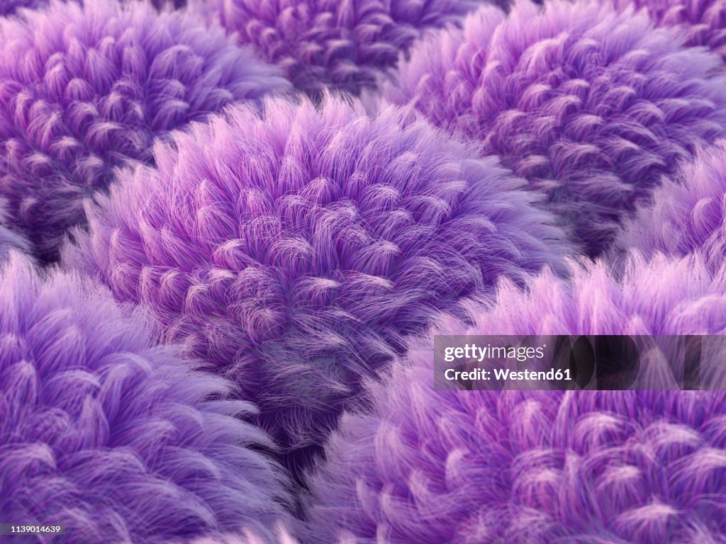 Fluffy purple spheres, 3d rendering