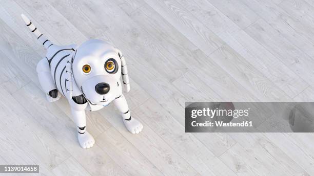 bildbanksillustrationer, clip art samt tecknat material och ikoner med portrait of robot dog sitting on wooden floor, 3d rendering - robot