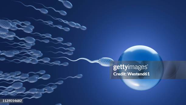 futuristic sperms on the way to egg cell, 3d rendering - insemination stock illustrations