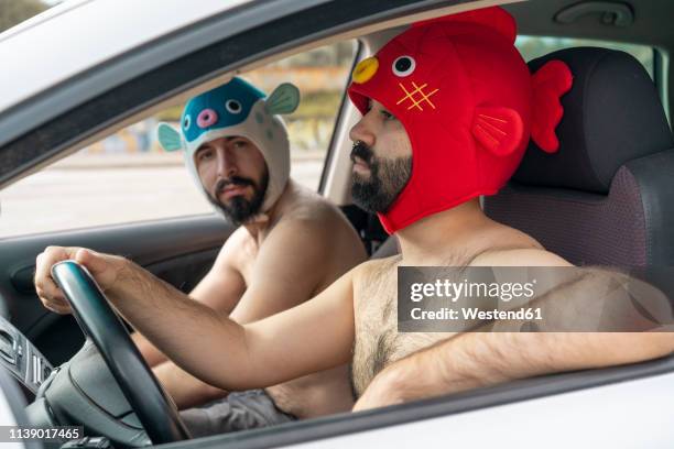 gay couple in a car wearing animal hats - automobile and fun stockfoto's en -beelden