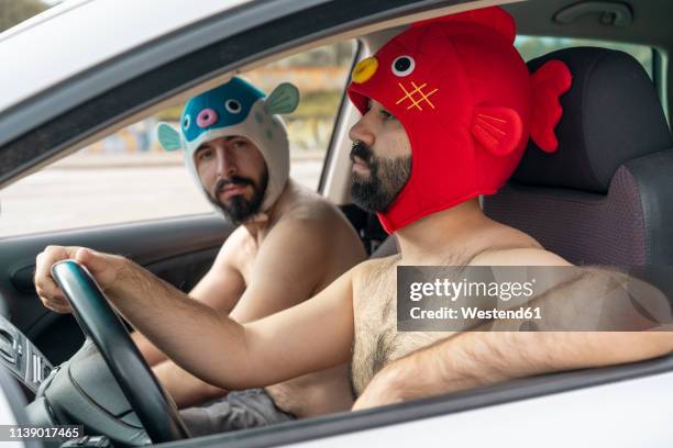 gay couple in a car wearing animal hats - bizarre stock pictures, royalty-free photos & images