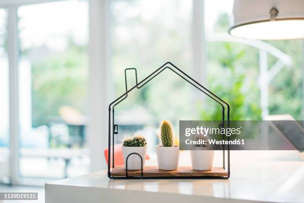 tiny house model with cacti inside - model object stock pictures, royalty-free photos & images