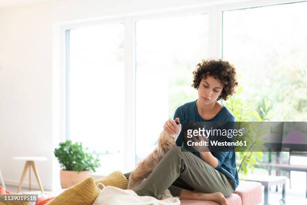 woman with dog using cell phone at home - pet owner stock photos et images de collection