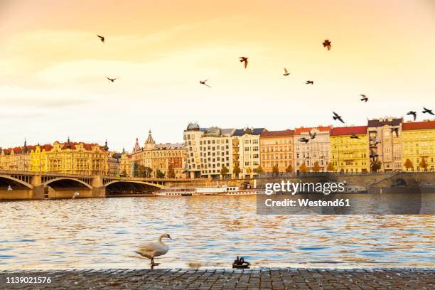 czechia, prague, old town, vltava river in the evening light - vitava photos et images de collection