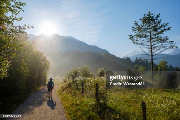 germany, bavaria, werdenfelser land, female hiker against the sun - krün ストックフォトと画像