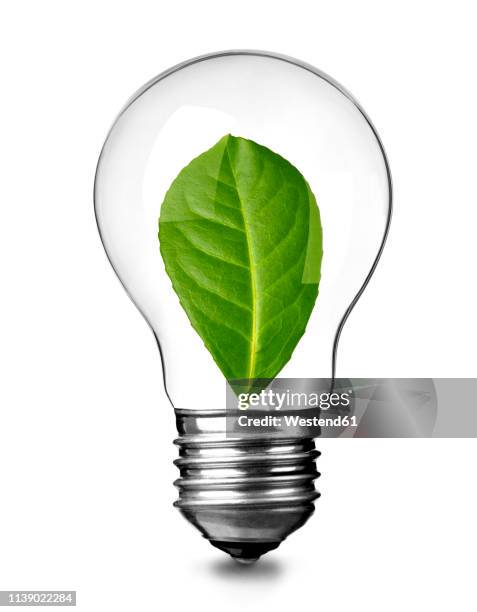 close up of a light bulb with green leave on white background, sustainability concept - close up stock-grafiken, -clipart, -cartoons und -symbole