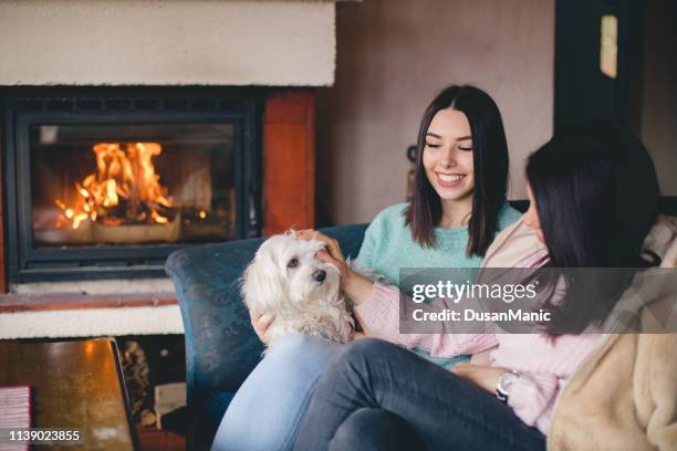 young smiling woman sitting near a fireplace with her pets on a sofa - sweater weather stock pictures, royalty-free photos & images