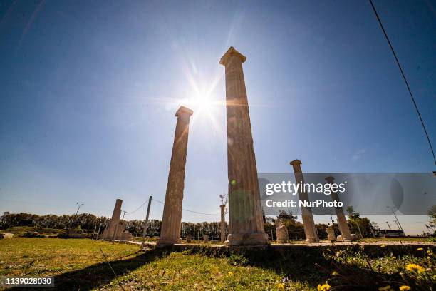 The archeological site of Pella, the ancient capital of the Greek Kingdom of Macedonia or Macedon, the native town and birthplace of Alexander the...