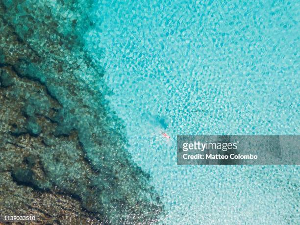 aerial view of boy swimming in the blue sea - one teenage boy only fotografías e imágenes de stock