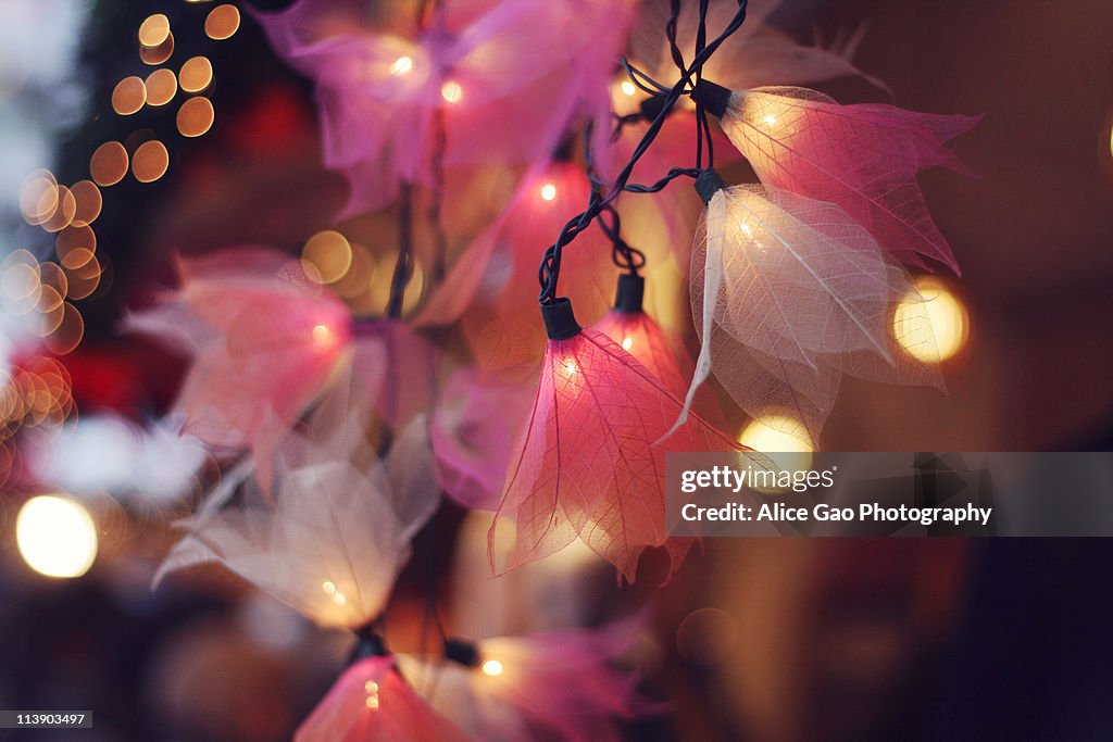 Pink lanterns