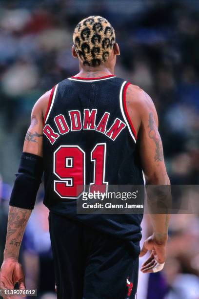 Dennis Rodman of the Chicago Bulls looks on during the game against the Milwaukee Bucks on January 16, 1998 at the Bradley Center in Milwaukee,...