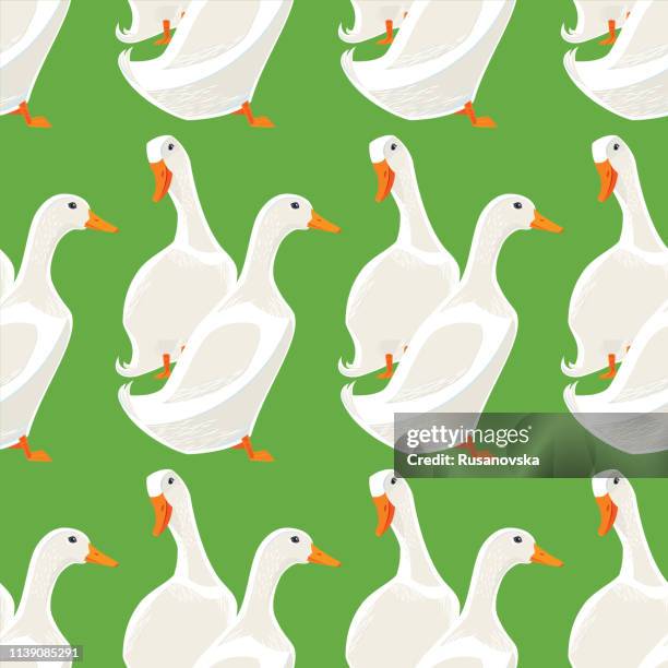 78 Ilustraciones de Pato De Pekín - Getty Images 78 Ilustraciones de Pato De Pekín - Getty Images