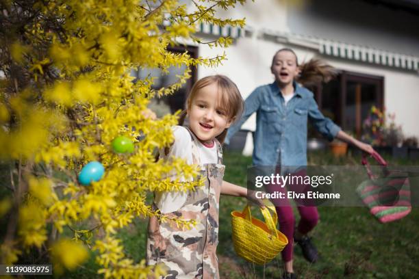 two children running in a back yard searching for easter eggs - forsythia stock-fotos und bilder