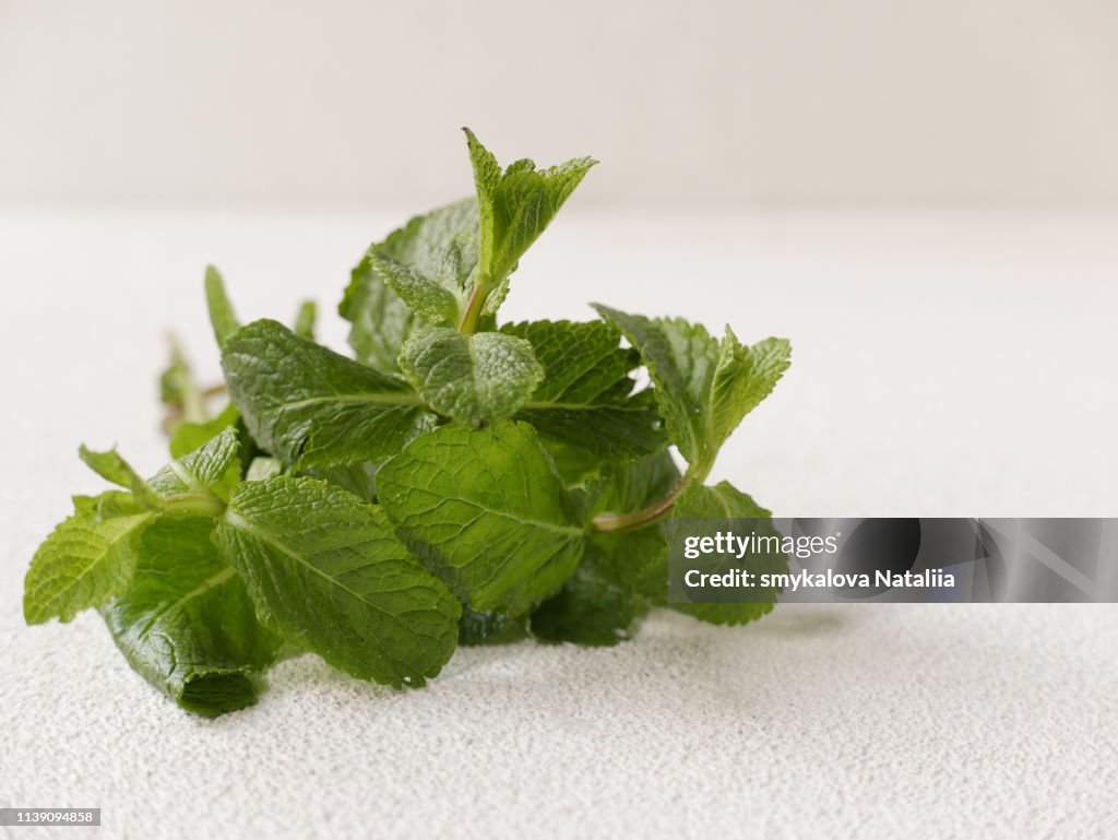 Fresh mint on the white bacground