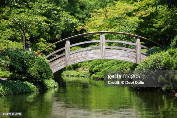 japanese garden bridge in springtime - fort worth stock pictures, royalty-free photos & images