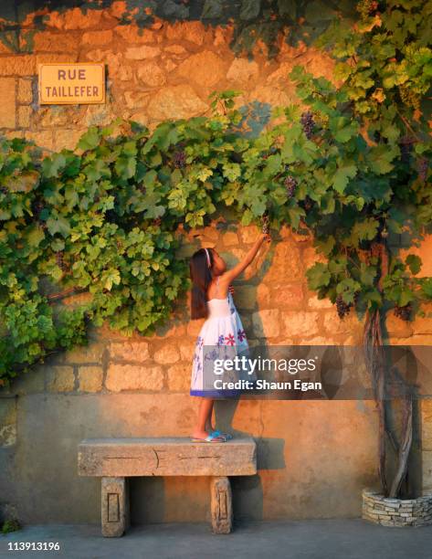 france, dordogne, domme, girl reaching for grapes. - périgord photos et images de collection